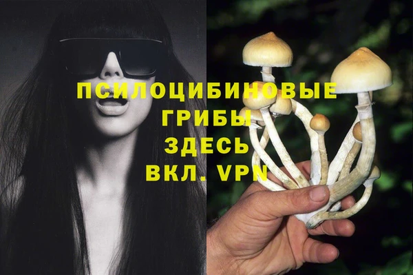 соль курить ск Козельск