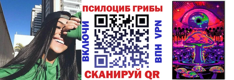 Галлюциногенные грибы Cubensis Купить где Красный Кут